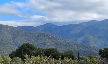 terrain à Laroque-des-Albères (66)