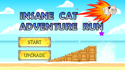 Insane Cat Adventure