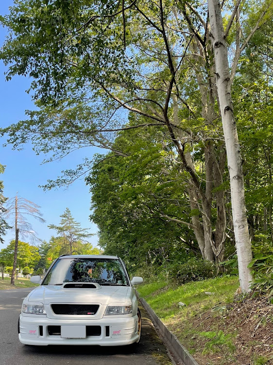 フォレスターの虫採りに関するカスタム事例の投稿画像1枚目