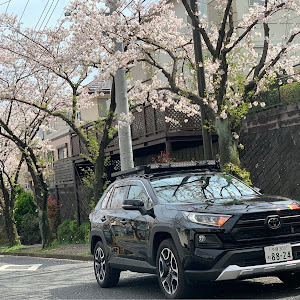 RAV4 MXAA54