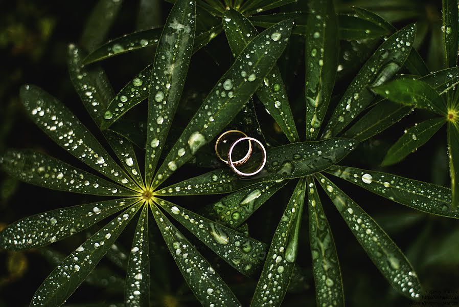 Wedding photographer Evgeniy Starkov (starkov). Photo of 11 January 2014