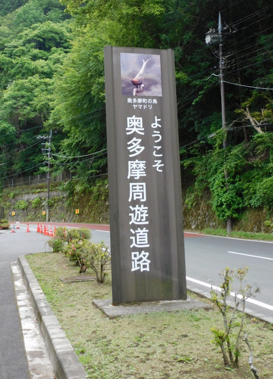 スイフトスポーツのジャパン峠プロジェクト・ステッカー収集・鶴峠・奥多摩周遊道路・チーム赤城に関するカスタム事例の投稿画像11枚目