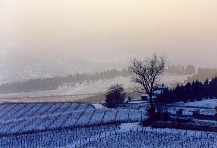 Sfumature di AjejeBrazorf