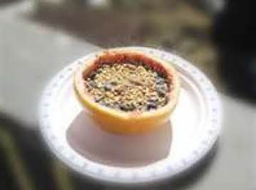 Grapefruit Birdseed Feeder