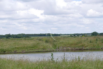 terrain à Nieulle-sur-Seudre (17)