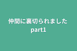 仲間に裏切られました part1