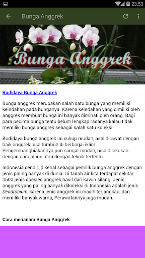 Budidaya Tanaman Hias