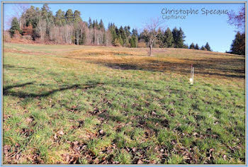 terrain à Chabreloche (63)