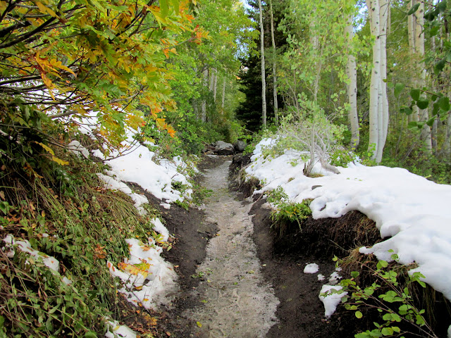 Slushy trail