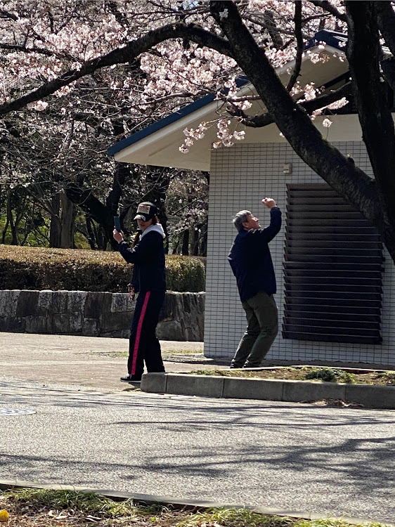 の投稿画像10枚目