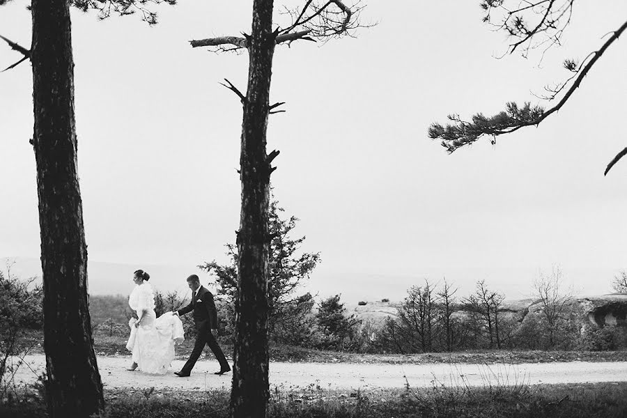 Hochzeitsfotograf Sergey Tereschenko (tereshenko). Foto vom 20. April 2015