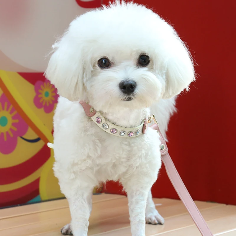 images slider number - 13