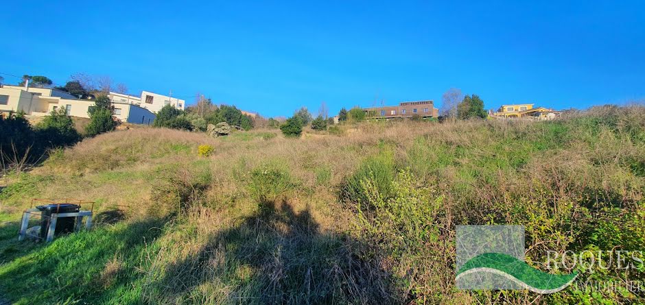 Vente terrain  2465 m² à Lodeve (34700), 118 000 €