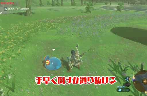 ゼルダBotW_中洲の移動の手順