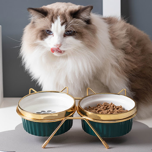Title 4, Cat Bowl Cervical Spine Protection Anti-Tumble ...