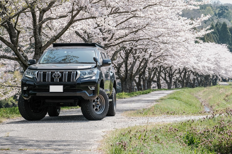 ランドクルーザープラドのサクラと愛車・ドライブ・桜に関するカスタム事例の投稿画像1枚目