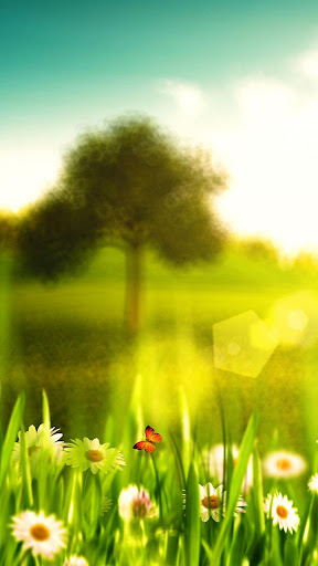 Spring Live Wallpaper - v6.0