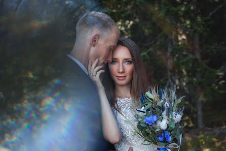 Hochzeitsfotograf Viktoriya Bardo (bardov). Foto vom 3. März 2019