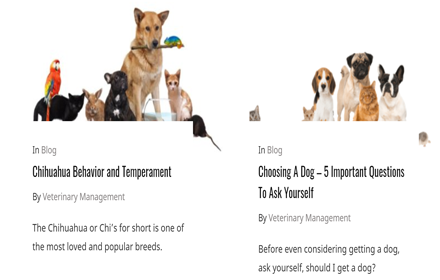 Veterinary Management small promo image