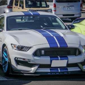 シェルビー GT350