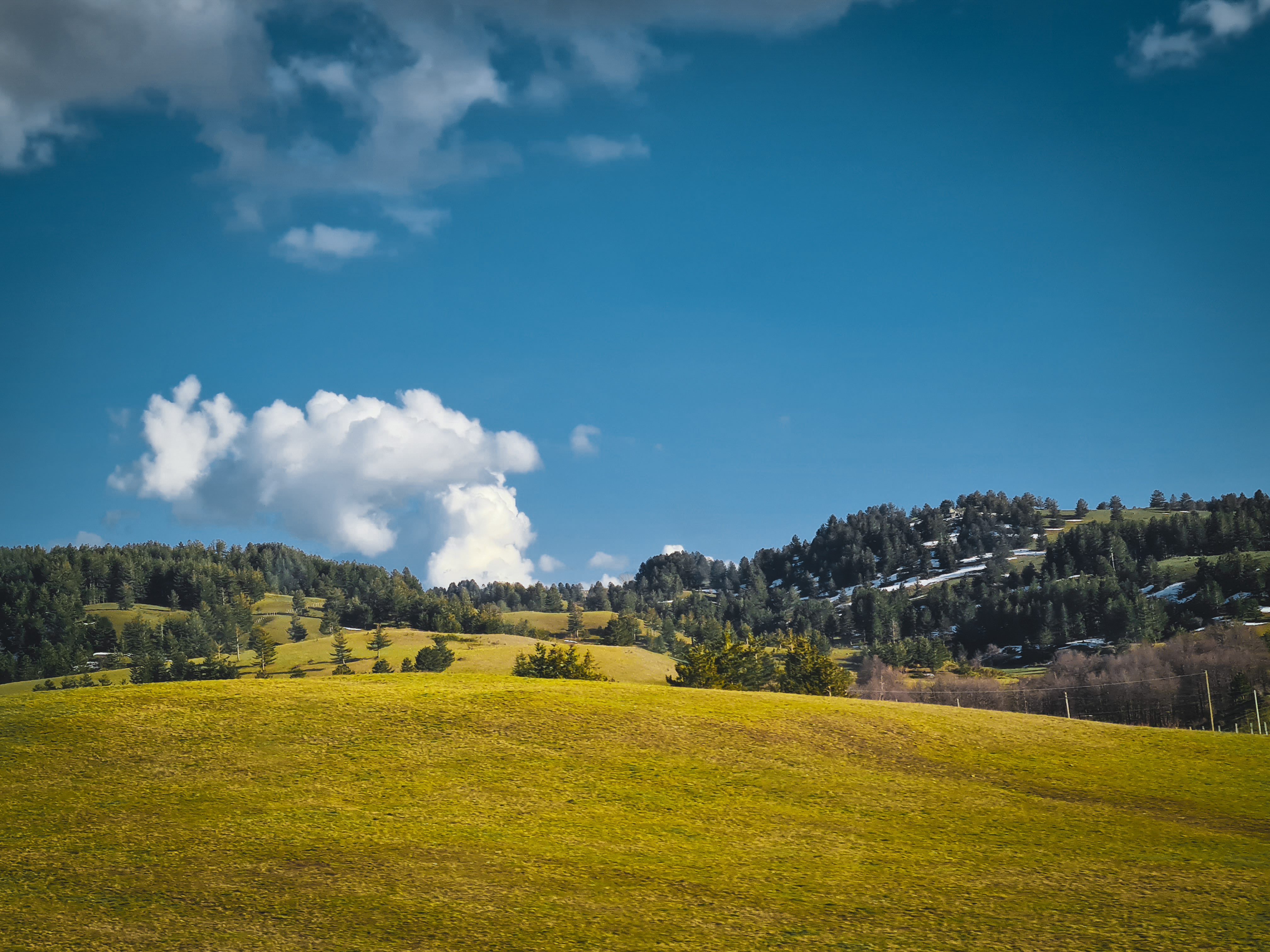 Campo selvatico  di CarlitosKR21