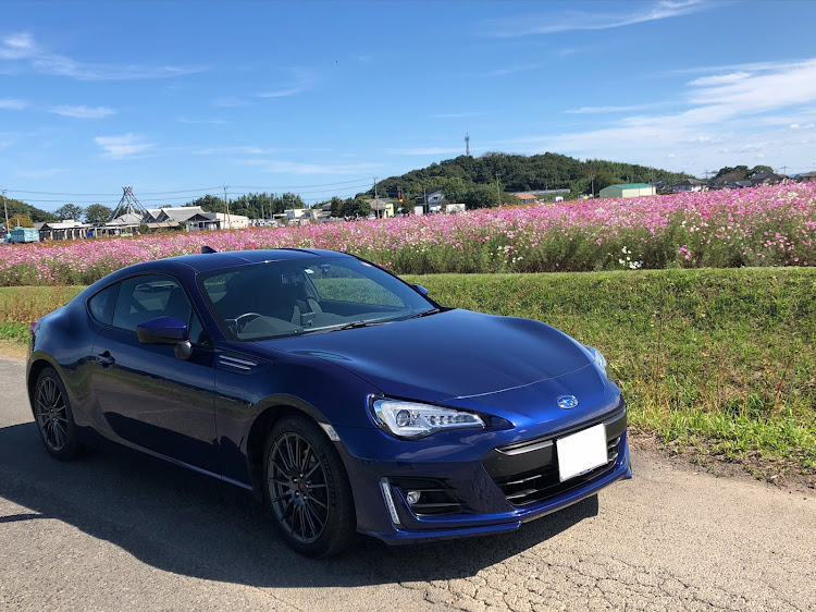 BRZの道の駅 しんよしとみ・コスモスと愛車・水巻　遠賀川河川敷・岡垣　m&m・ラピスブルーに関するカスタム事例の投稿画像2枚目