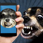 Dog Teaser: Sounds Apk