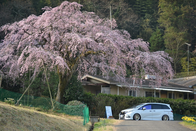 の投稿画像2枚目