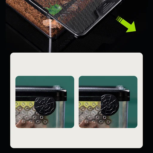 Turtle Tank With Breathable Holes Fish Tank Multifunctional Areas Full-View Aquarium For Reptile Small Pet Crawler Box