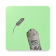 Mice Catch  icon