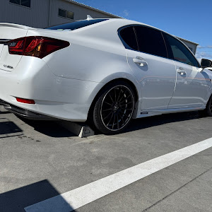 GS GWL10