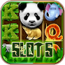 Panda slot casino free icon