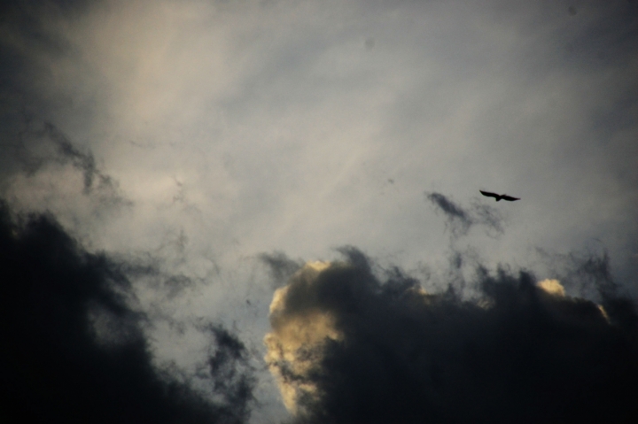 Verso la nube di Saribidibobidi Bù