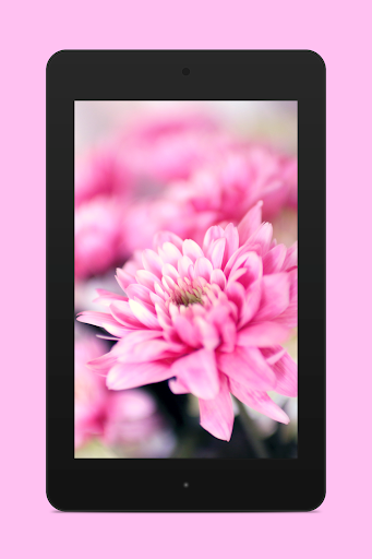 免費下載個人化APP|Blooms Bright Live Wallpaper app開箱文|APP開箱王