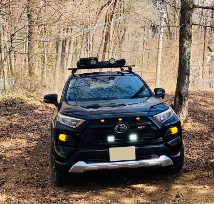 RAV4の林道・すきにまみれろ・サクラと愛車に関するカスタム事例の投稿画像3枚目