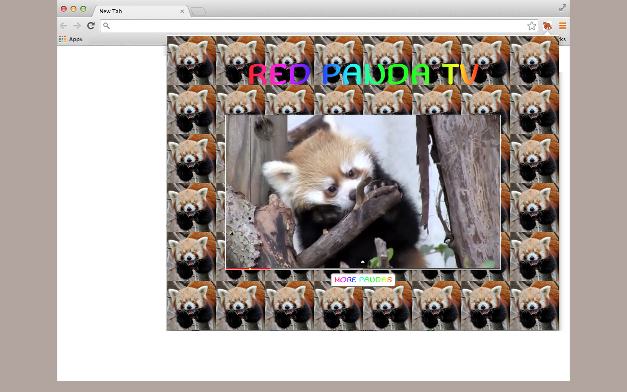 RED PANDA TV Preview image 0