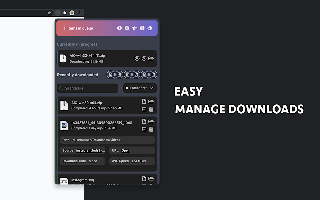 Advanced Download Manager