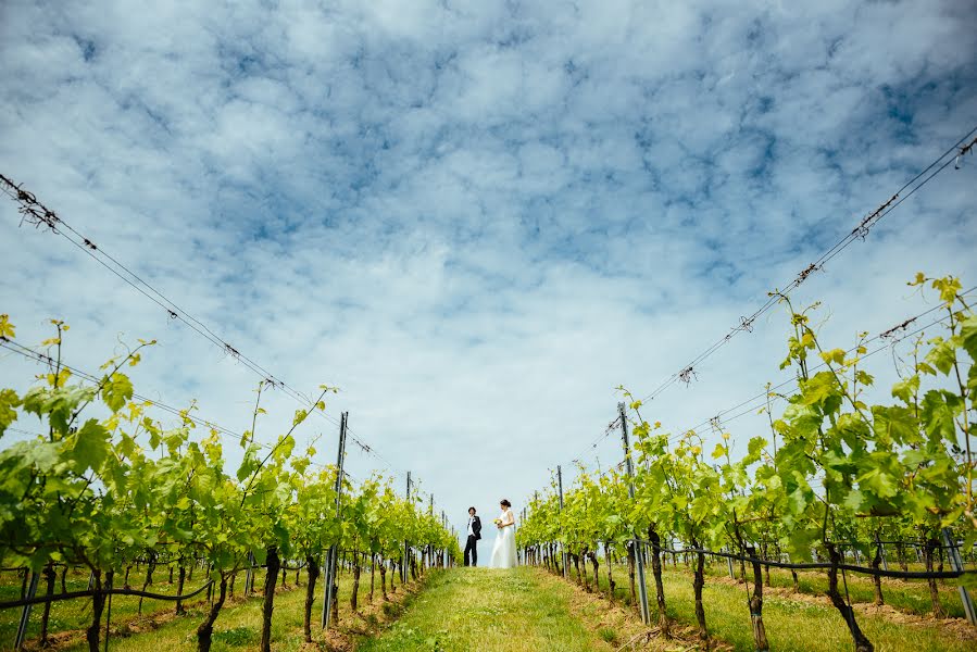 Wedding photographer Tomas Pospichal (pospo). Photo of 29 June 2017