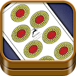 Cover Image of Download Scopa 1.0.8 APK