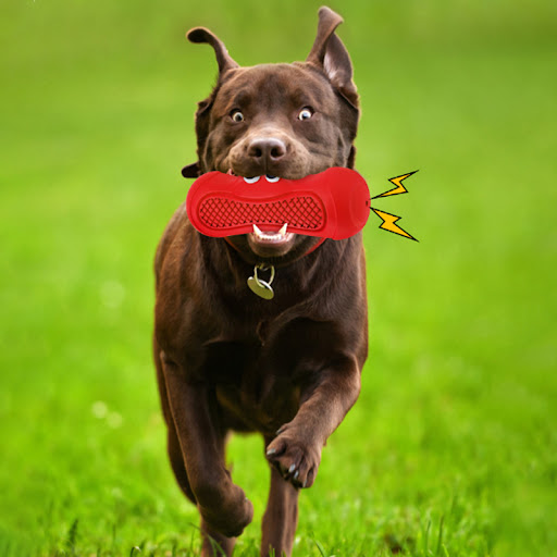Title 4, Vocal Rugby Dog Toys Natural Rubber Teething To...