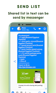 Grocery list text: BList Pro (MOD) 3