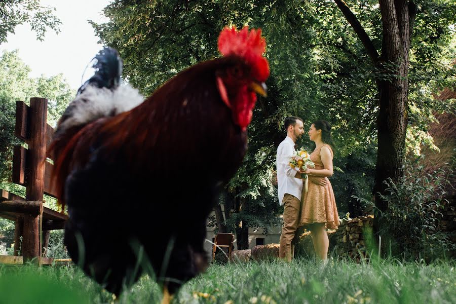 Fotografer pernikahan Dragos Gheorghe (dragosgheorghe). Foto tanggal 4 April 2018