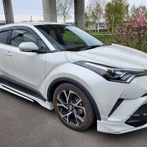 C-HR NGX50