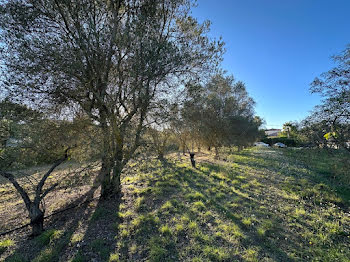 terrain à Roquebrune-sur-Argens (83)