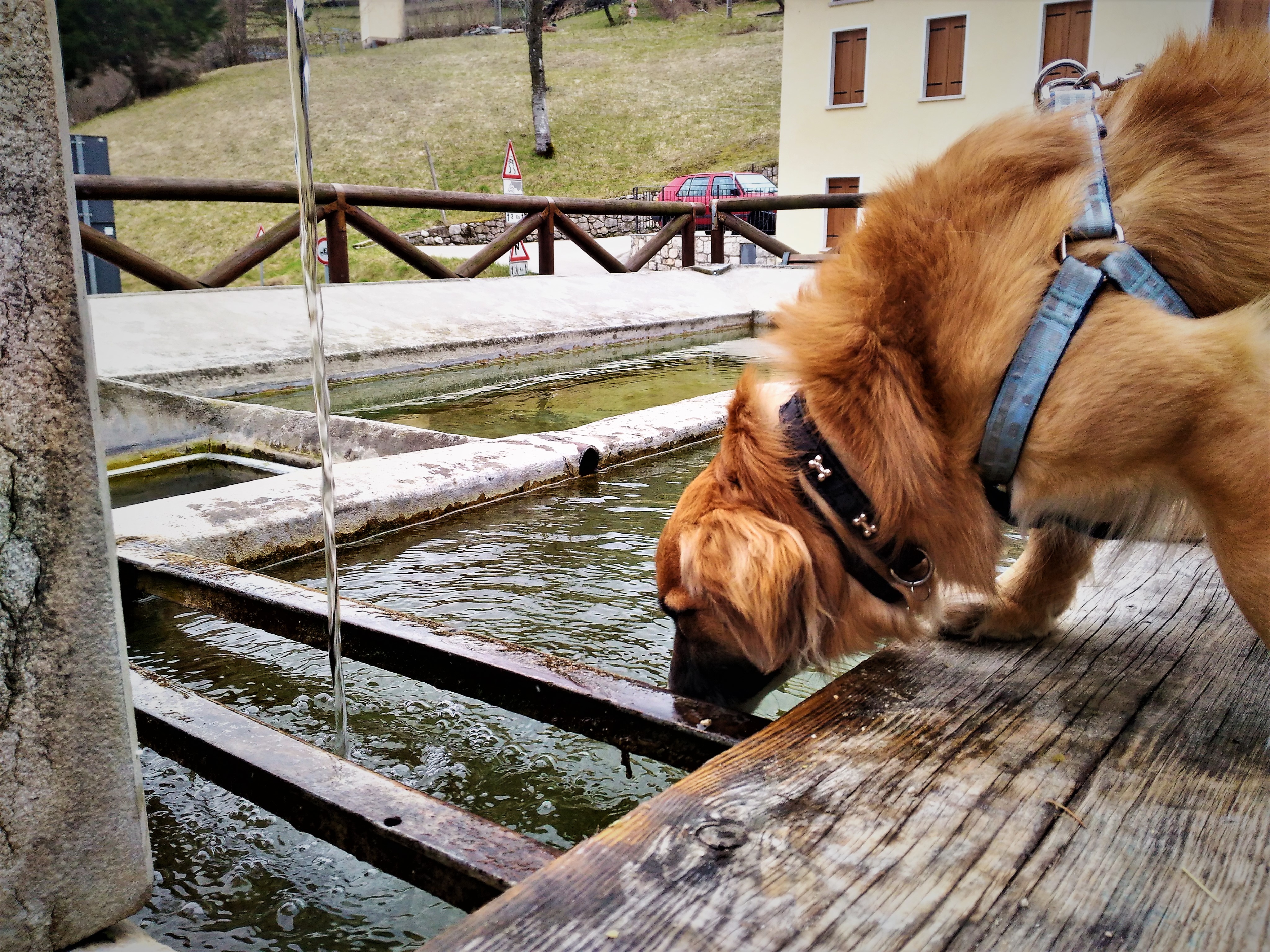 Il lavatoio di paradiselive