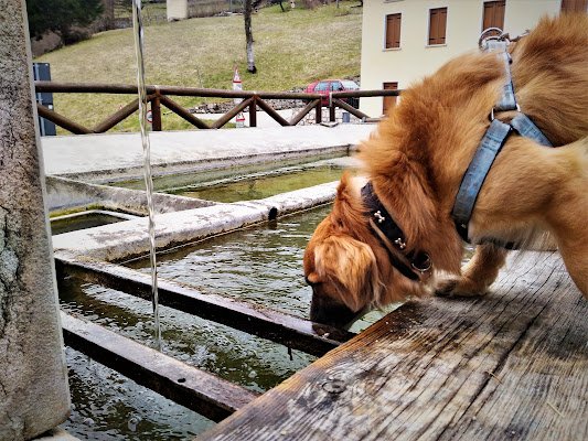 Il lavatoio di paradiselive