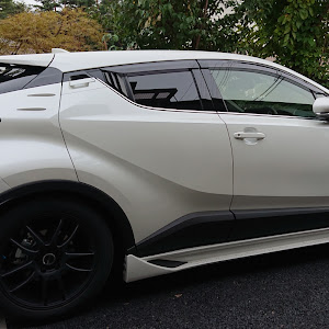 C-HR NGX50