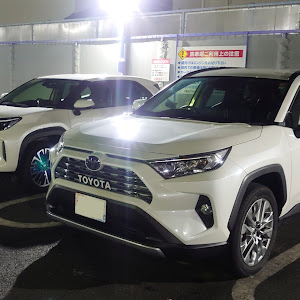 RAV4 MXAA54