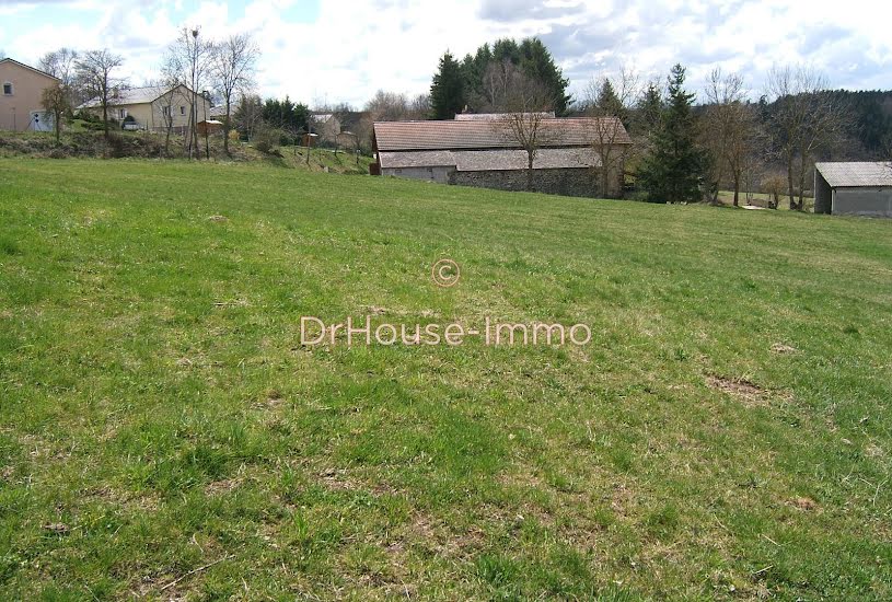  Vente Terrain agricole - 6 667m² à Saint-Pierre-Eynac (43260) 