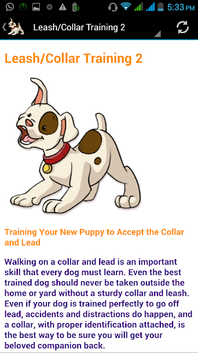 免費下載教育APP|Dog Training app開箱文|APP開箱王